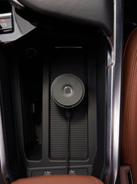 Pura Car