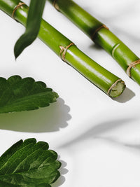 Bamboo & Green Tea