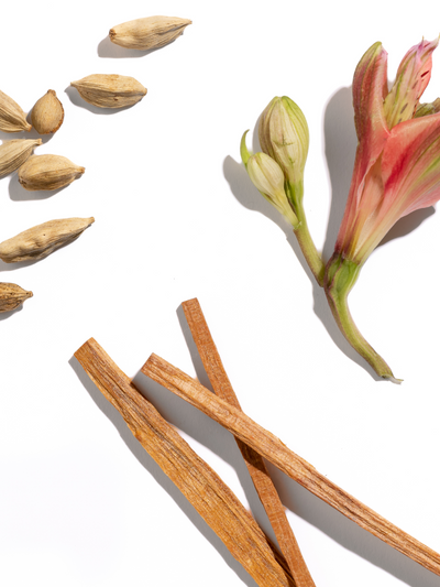 Egyptian Sandalwood - ingredients view