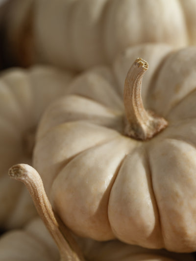 Heirlūm Pumpkin - ingredients view