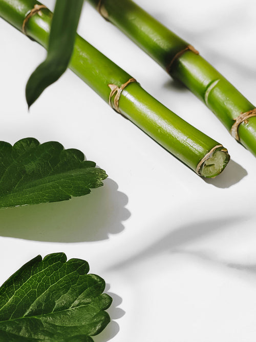 Bamboo - ingredients view